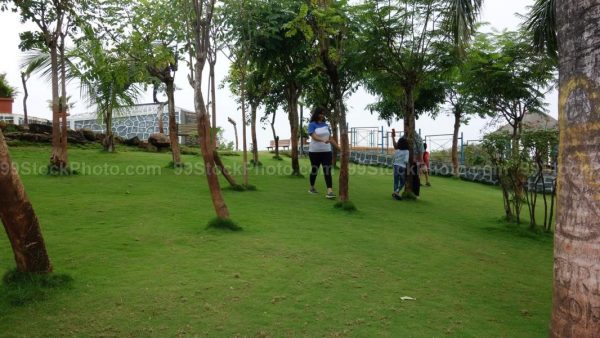 Stock Photo of Garden and Trees