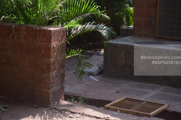 Laterite Rock Boundary Wall With Entrance of House