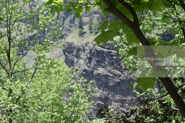 Stock Photo of Mountain Cliff through Tree View