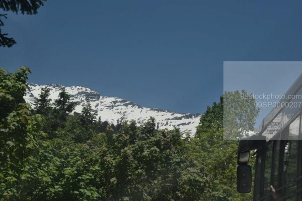 Stock Photo of Bus Hilly Area Snow Mountains and Maple Tree