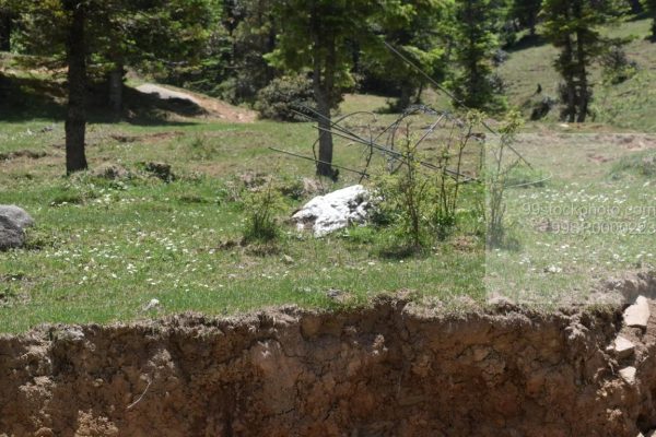 Stock Photo of Ice, Green Pastures and mud