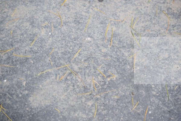 Stock Photo of  Stone Flooring with leafs