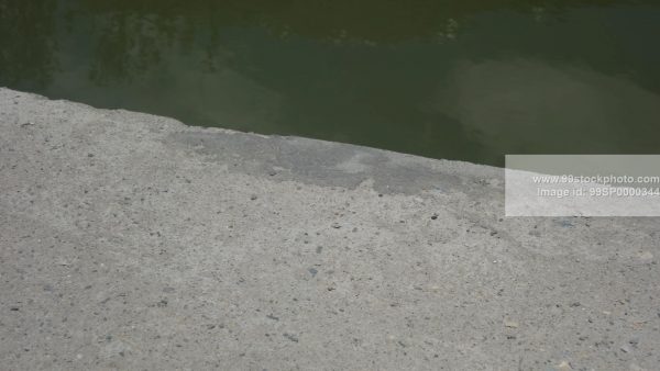 Stock Photo of Green Water of Lake and Concrete Slab