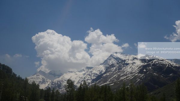 Stock Photo of Clouds Snow Hills and Pine Trees Type 1