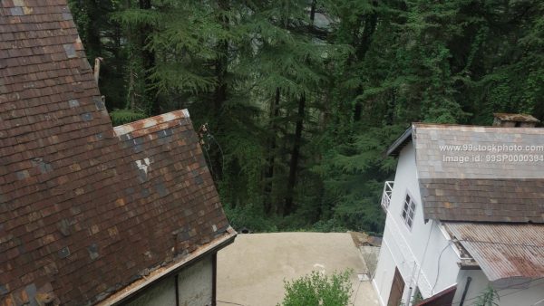 Stock Photo of Slopping Roof and Pine Trees with Top View