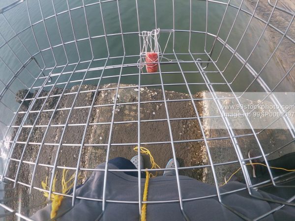 Stock Photo of Go pro Image with Crab Catch Bait About to put in Ocean