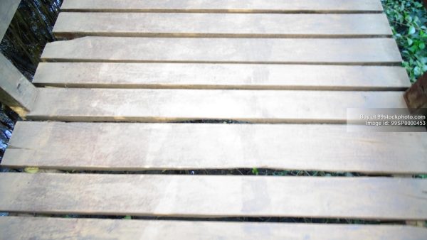 Stock Photo of Pathway in Forest made of Teak Wood| 99 Stock Photo