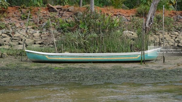 Stock Photo of Canoe Boat Fishing Boat in Mangroves| 99 Stock Photo