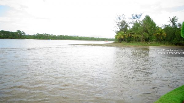 Stock Photo of Mangroves Backwater Marshy Land in Honnavar Type 3| 99 Stock Photo